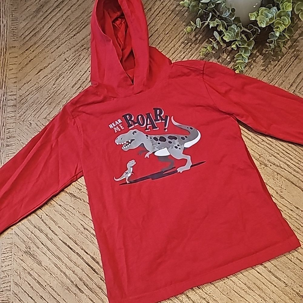 Hooded Dinosaur shirt size 6 long sleeve